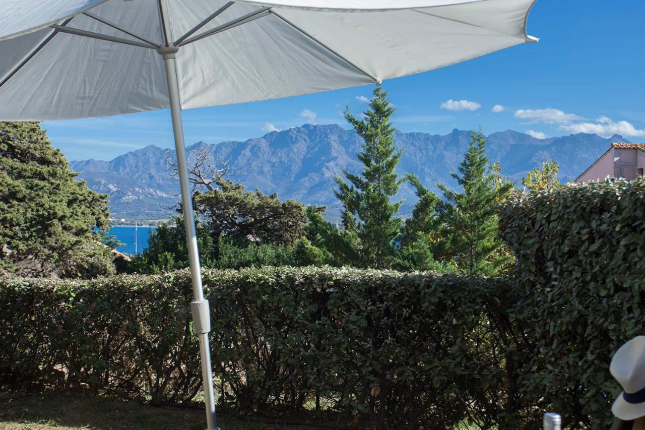 Mare Appart Avec Jardin Et Bbq Vue Mer Et Montagne Plage Et Port A 2 Pas Calvi  Eksteriør bilde